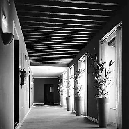 Ahc Palacio 4* Coria
